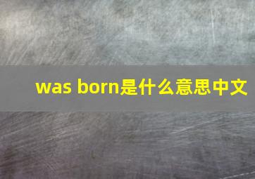 was born是什么意思中文